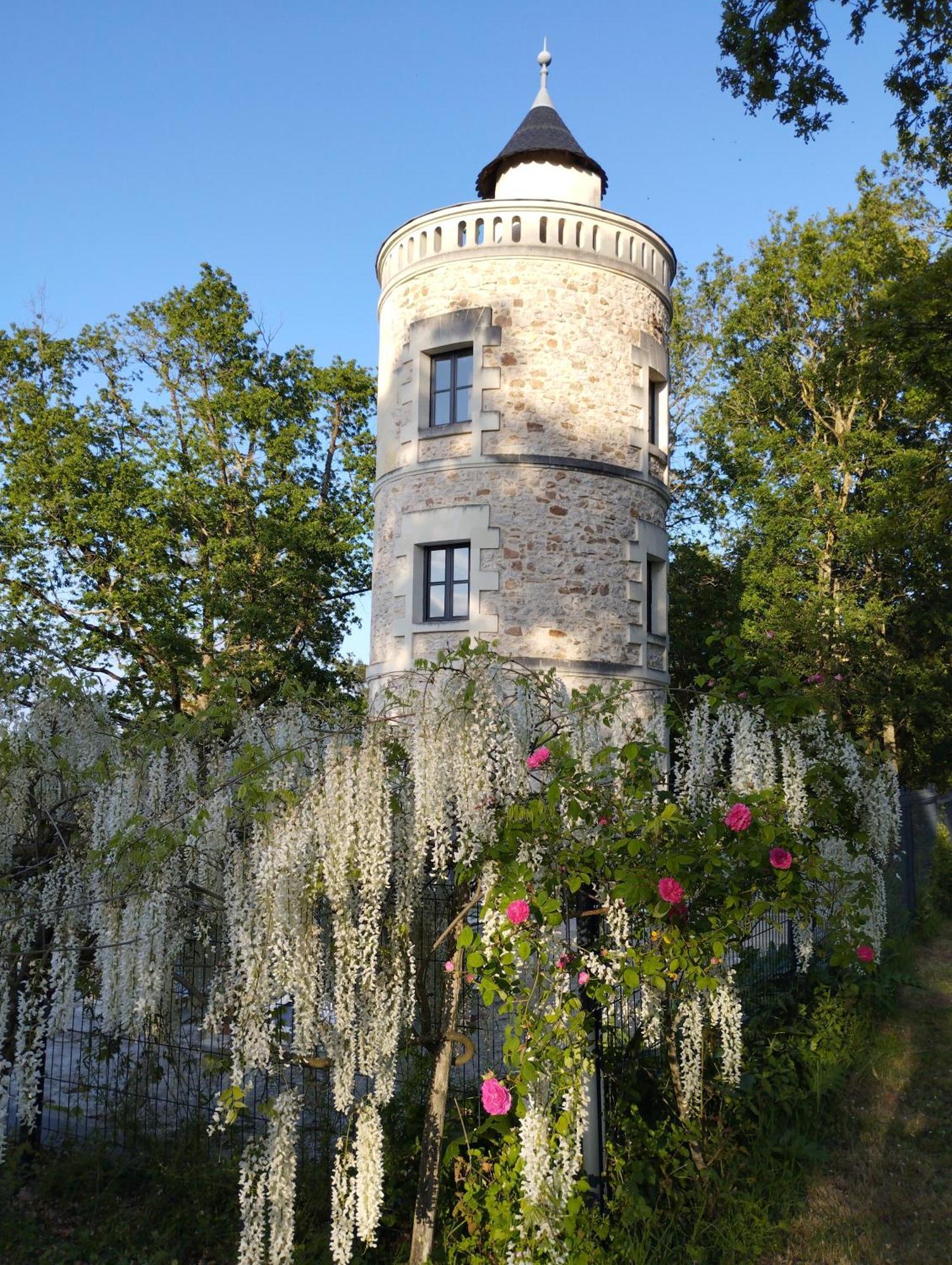 Chambres D'Hotes La Tour De Bellevue Saumur Zewnętrze zdjęcie